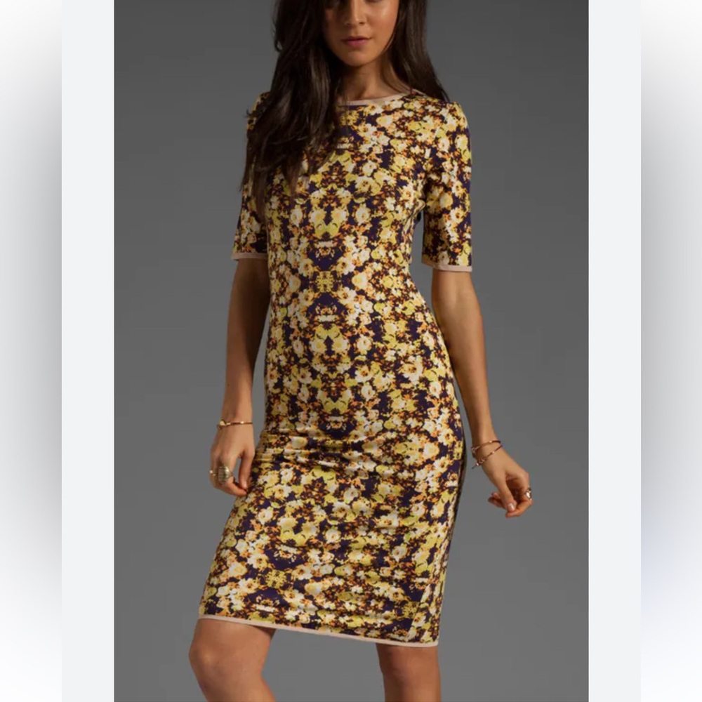 Sam & Lavi Sina Cottagecore Midi Dress in Rose Bud Size XL